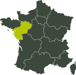 Diagnostic immobilier Pays-de-la-Loire