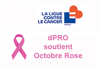 Logo dpro pour octobre rose D-Pro - expertise et diagnostic immobilier