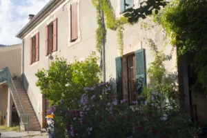 D-Pro - expertise et diagnostic immobilier Vous êtes un particulier ? Maison cévenole été